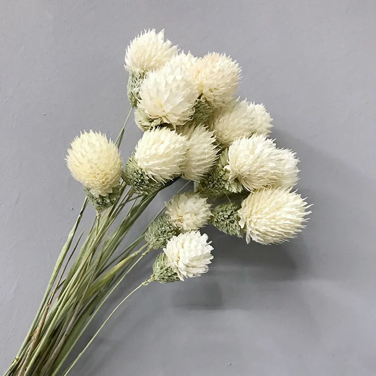 factory supply Dried strawberry balls for  flower bouquets