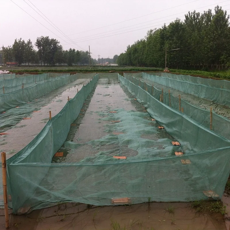 Cage Aquaculture Net PE Farming Aquaculture Cultivation Net Case Lobster Crab Ricefield eel Breed Net