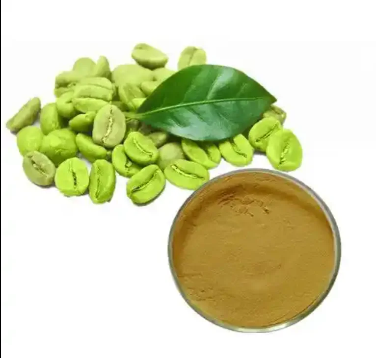 Factory High Quality Natural Organic Anti Oxidant Chlorogenic Acid Green Coffee Bean Extract