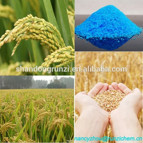 Outlet Price CuSO4.5H2O Blue Crystal Pentahydrate Industrial Grade Granular for Agriculture Fertilizer Copper Sulphate