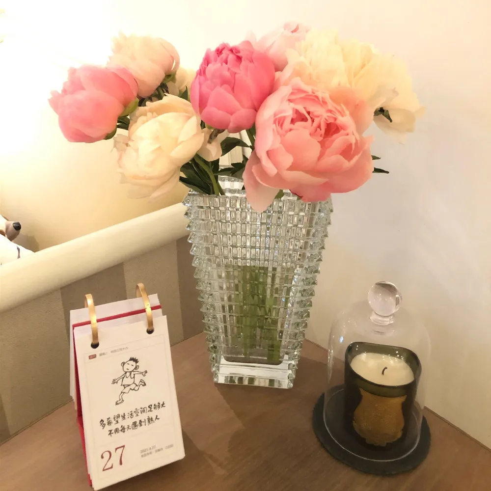 Nordic Light Luxury Net Red High-value Transparent Glass Vase Flowers Arrangement Desktop Decoration Crystal Vase