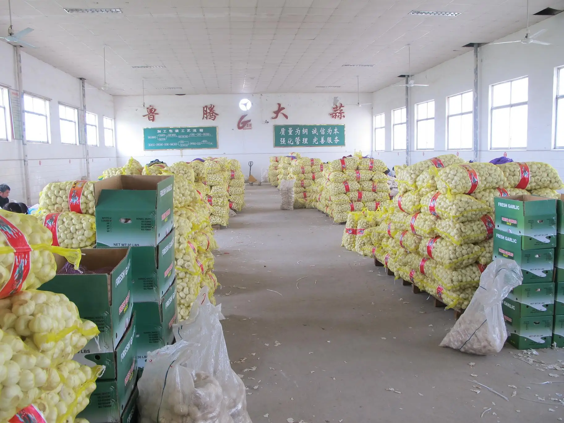 Fresh red garlic chinese 3.0-3.5cm  for Congo market 1kg mesh bag with 10kg outter bag