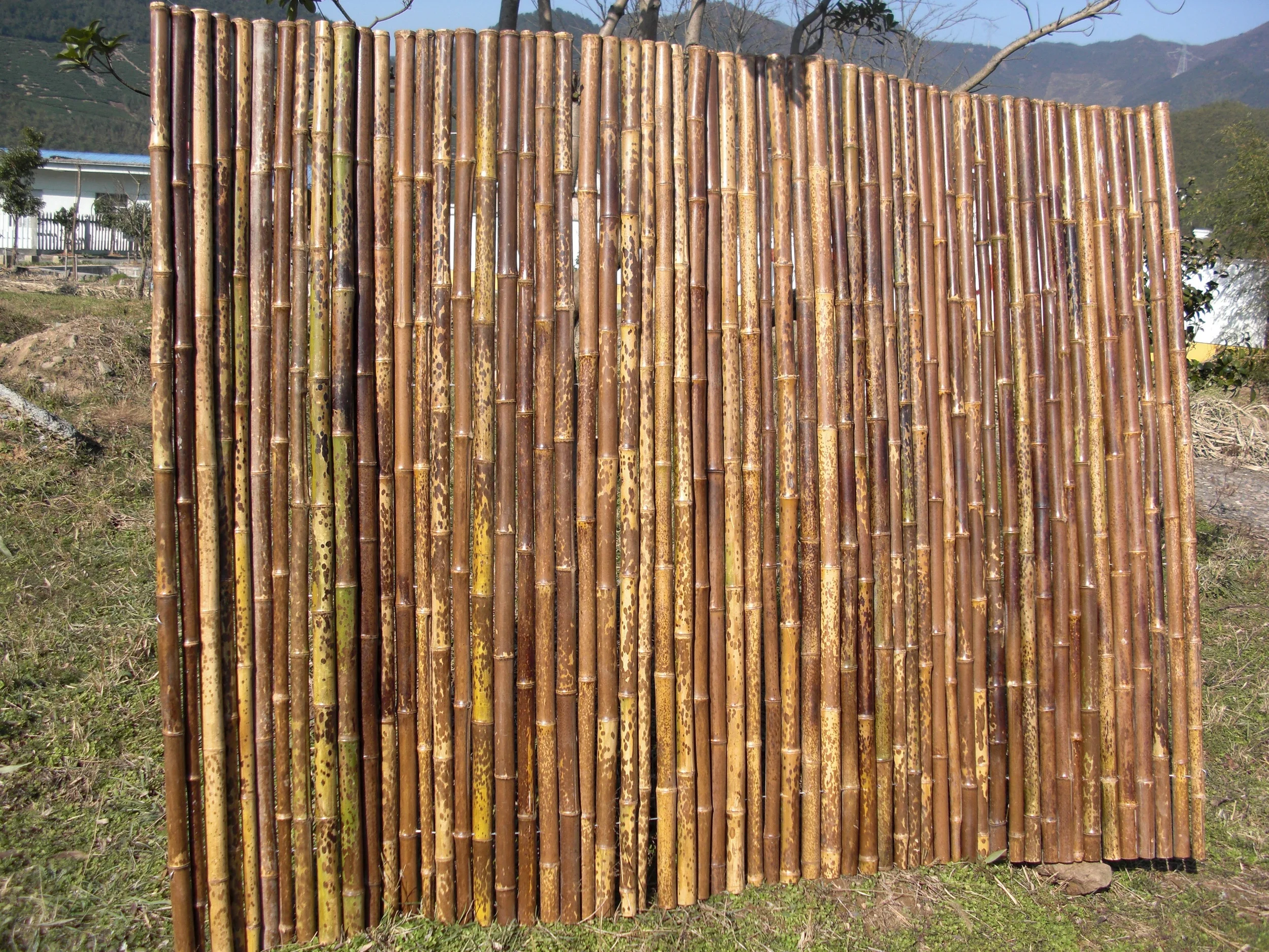 Spotted Roll Fences !! Special !!! ZY-2009 Tiger Bamboo Garden Fence Panels 3 Foot Heat Treated Pressure Treated Wood Type