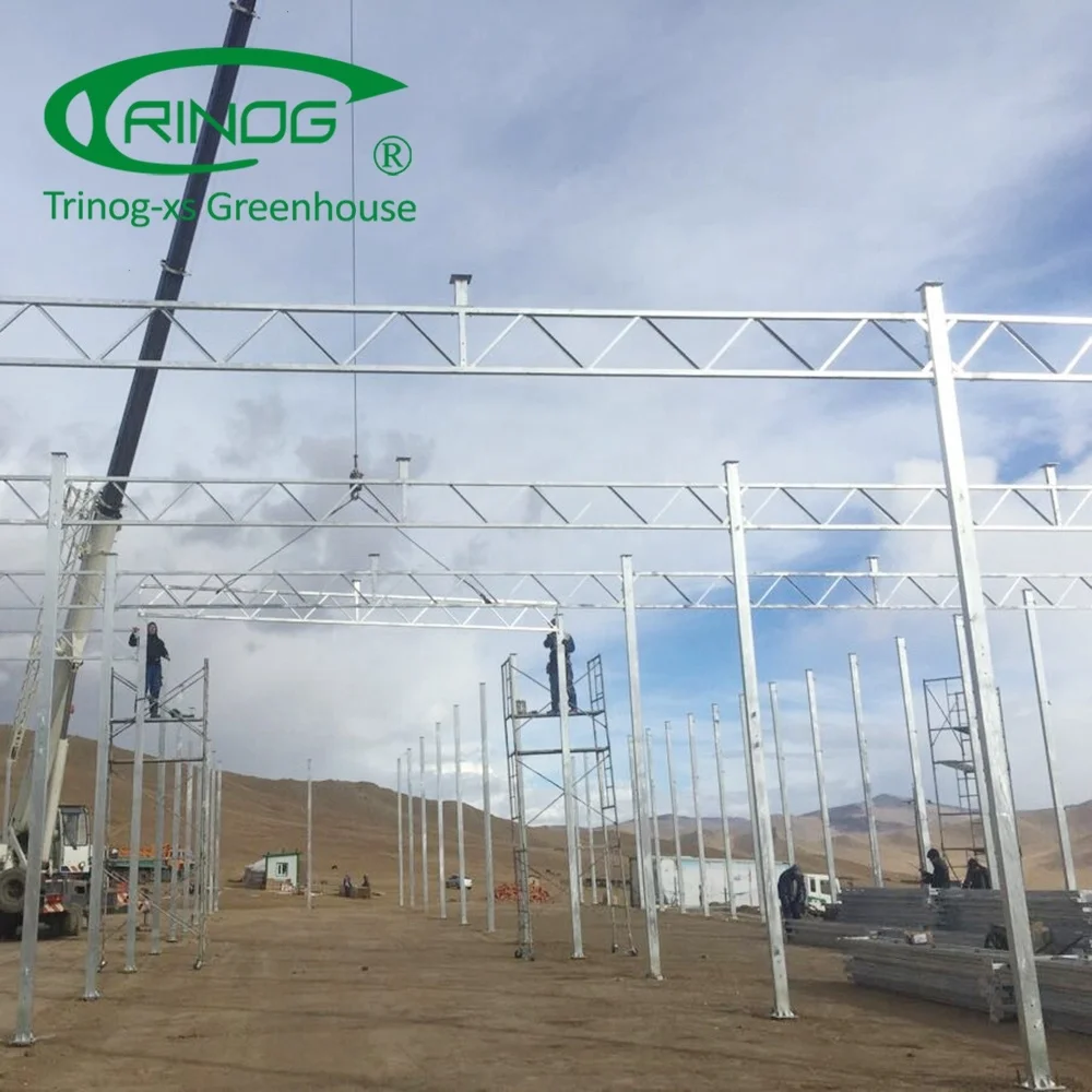 Glass tomato hydroponic greenhouses farming equipment