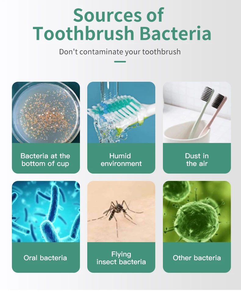 New Toothbrush Sterilizer Wall Mounted Portable Toothbrush Holder With Fan Dryer Nice for Family