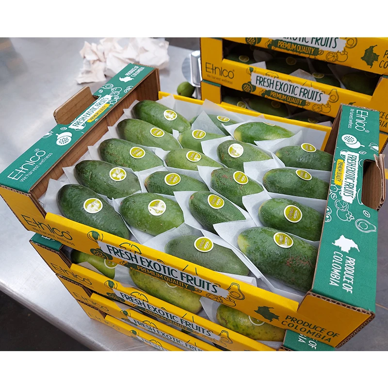 Healthy Fresh Yellow Fruit Exotic Curuba with Soft Juicy Orange Pulp