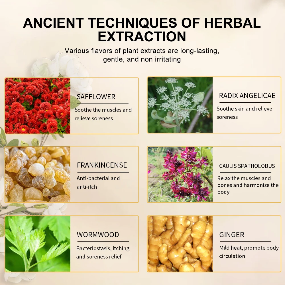 Chinese Herb Oil for Body Massage Relaxation of Muscles and Bones Angelica Sinensis Essence