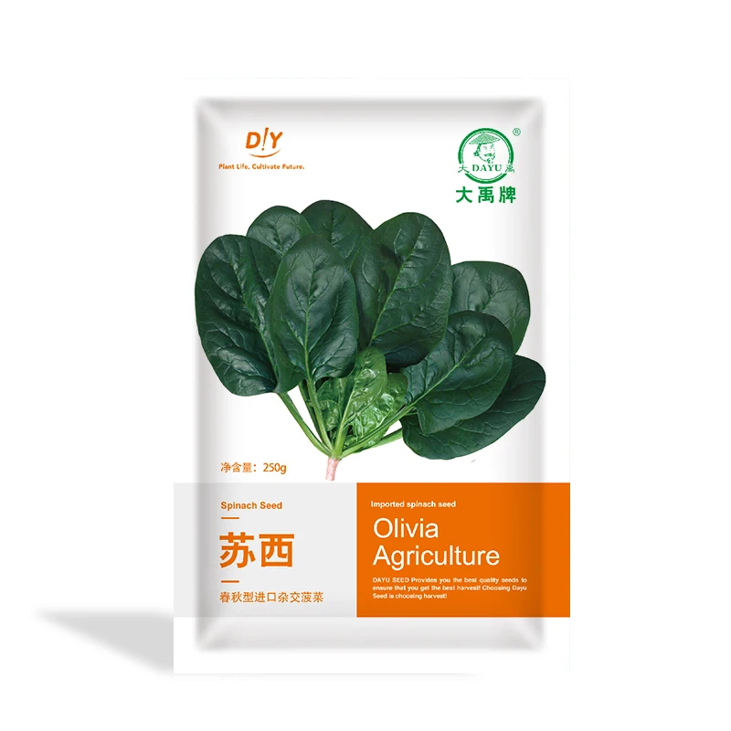 
Good Quality Agricultural Plant Green Vegetable Seed Spinach Seeds 