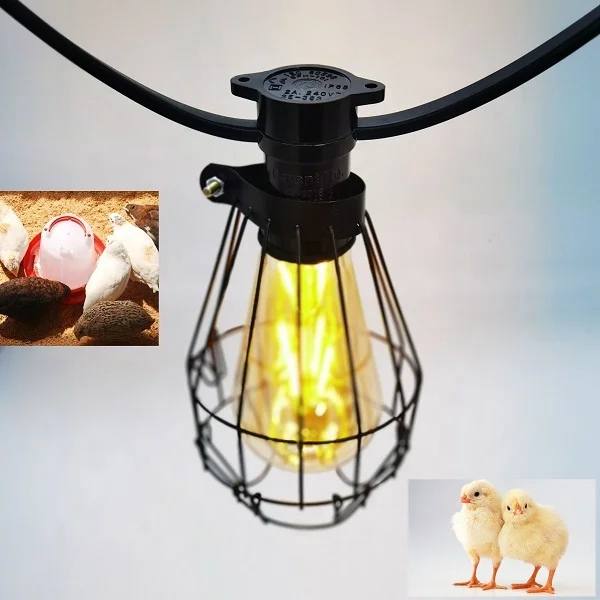 Guangzhou Factory direct sell CE IEC IP65  plant growth lights & Framing/Breeding lamp