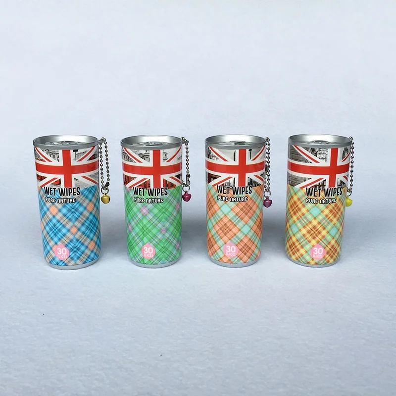 Cheap Price Disposable Wet Wipes Factory Custom Logo Packing Canister Wipe for Students Wet Wipes with Key Chain