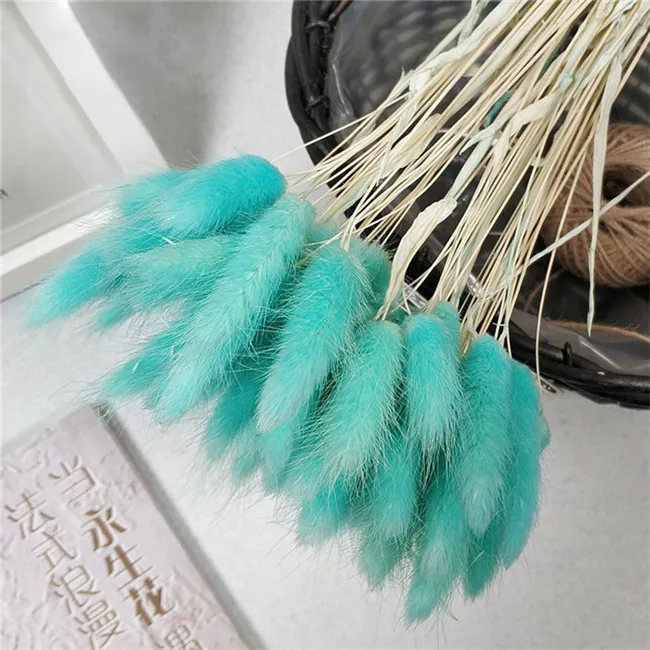 Best Selling Real touch dried flower wedding home decor colorful dry lagurus Ovatus Bunny rabbit tail grass
