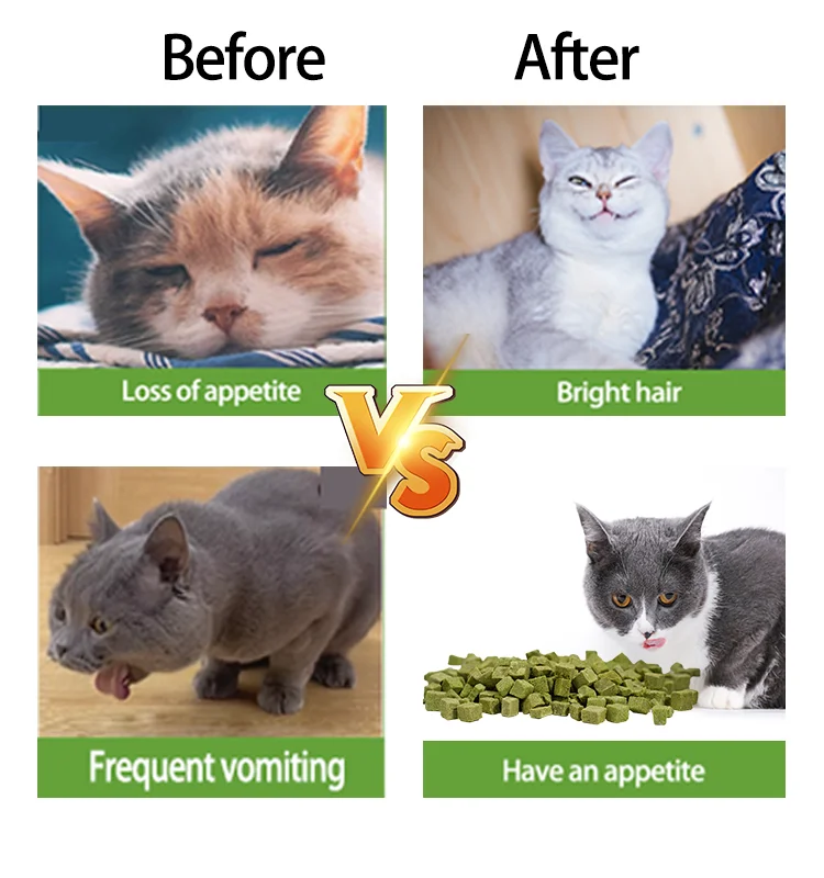 Eco Friendly Products 2024 Freeze Dried Grass Cubes Flavor Dog Food Freeze Dry Pet Treats for Cat&Dog Food