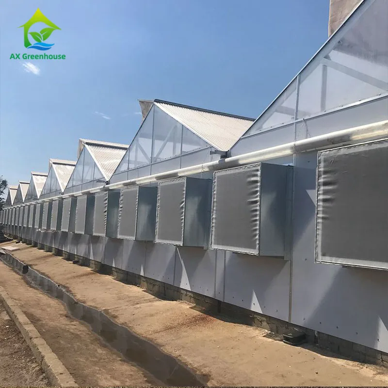 Blackout Greenhouse Control by Climate