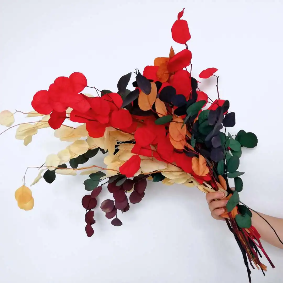 
Yunnan Wholesale Dried Flower Preserved Colored Apple Eucalyptus Leaves For Sale 