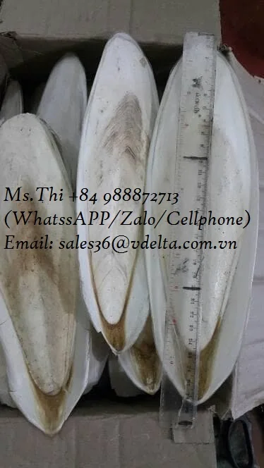  Оптовая продажа Натуральный Порошок для костей морской слепки дешево/оптом корма животных/Органическая Экологически чистая косточка высокого качества во Вьетнаме