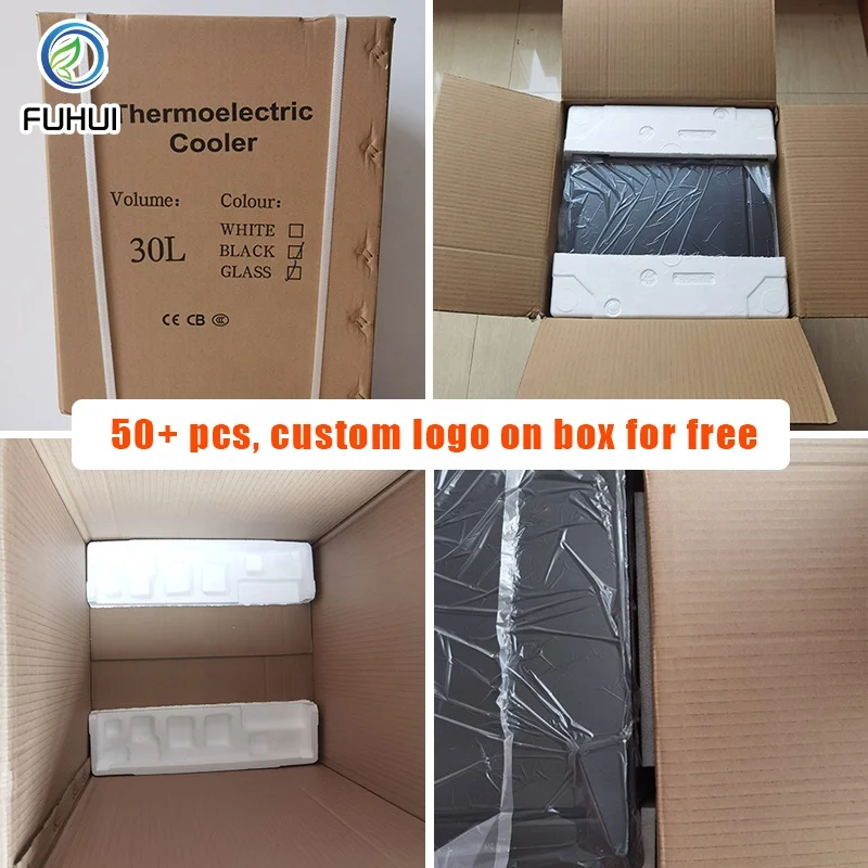 Low Noise 30db Thermoelectric 30L 240V 110V Frost Free Mini Geladeira