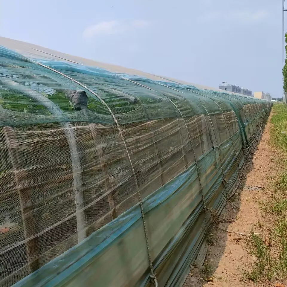 Nursery fruit tree fly net 20/30/40/50 mesh garden insect net Agricultural greenhouses insect plastic net