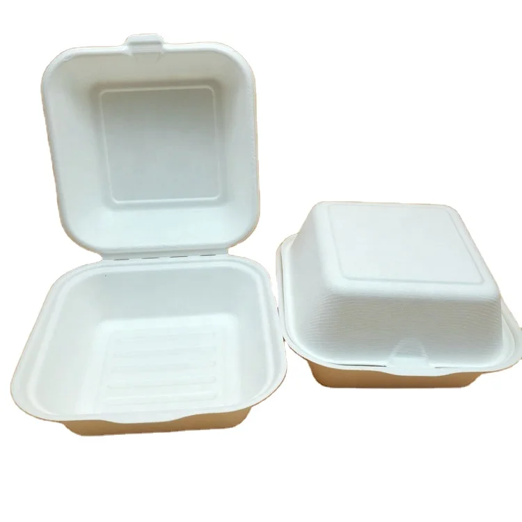 
biodegradable sugarcane pulp 6