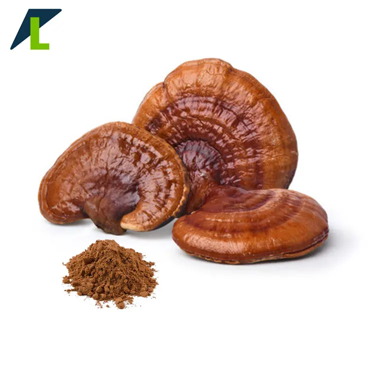 Organic Certified Reishi Mushroom Extract Ganoderma Lucidum Extract Lingzhi  Extract