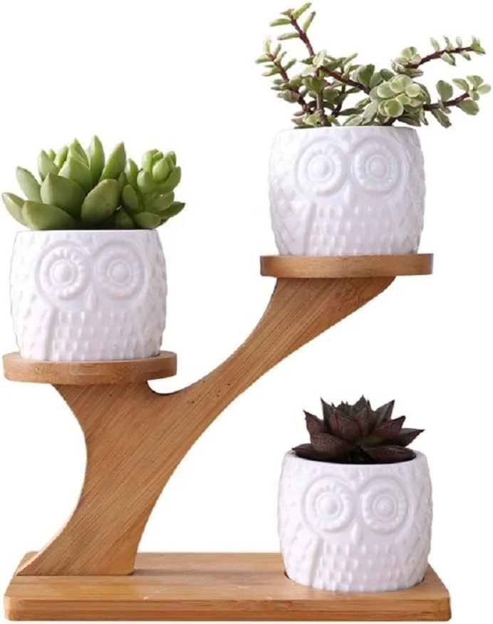 Wooden succulent flowerpot  home office desk green plant bonsai modern flowerpot decoration bamboo bracket