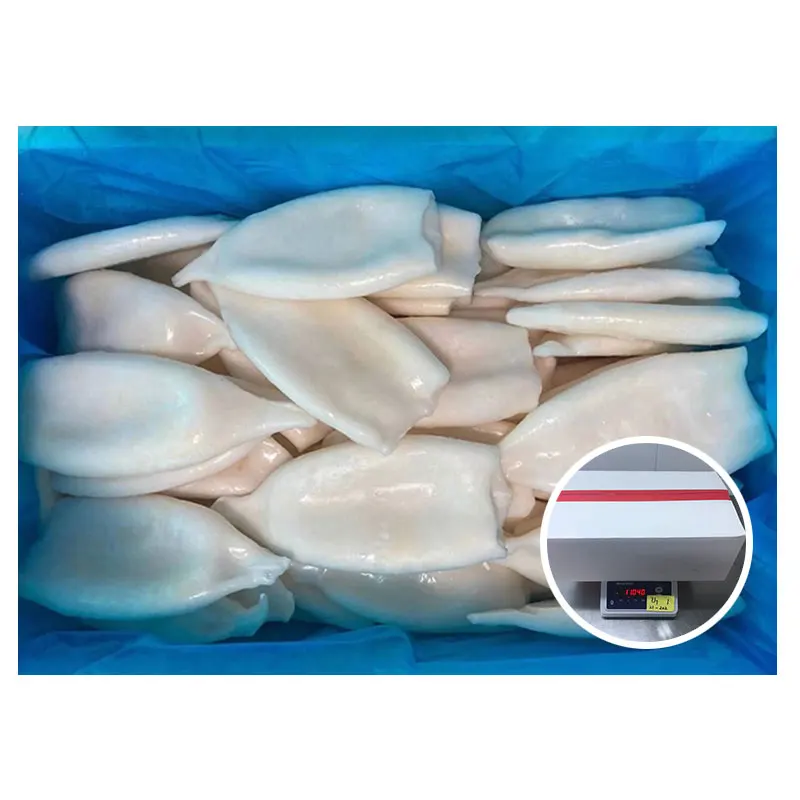 Fresh Whole Cleaned Calamari u5 u10 First Ring Frozen Gigas Squid Tube