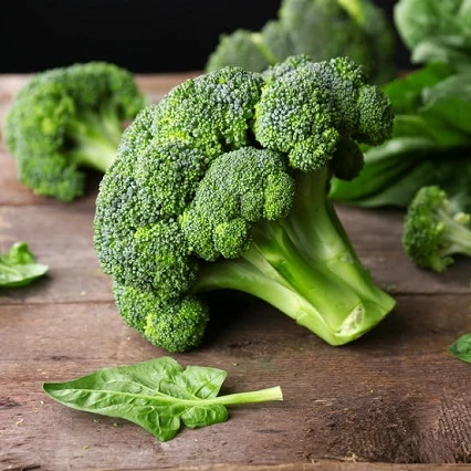 
Healthy high quality organic bulk broccoli fresh 