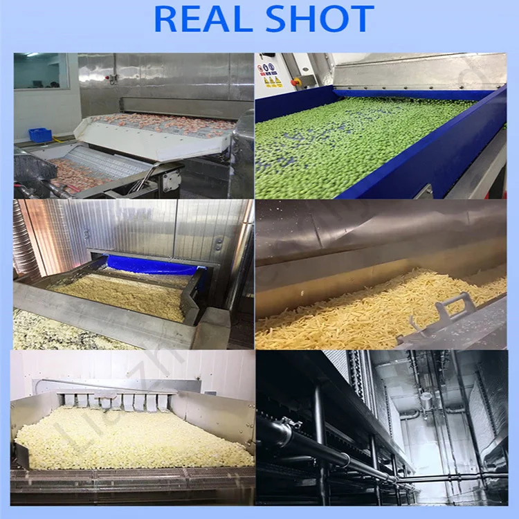 Industrial vegetables fruits seafood prepared food green peas beans IQF Fluidized bed freezing machine