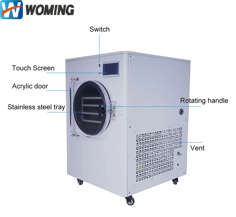 Small 0.1 m2  2KG Freeze Dryer Food Drying Lyophilizer Machine For Home Use Vacuum Freezing Dryer Fruit Vegetable Juice