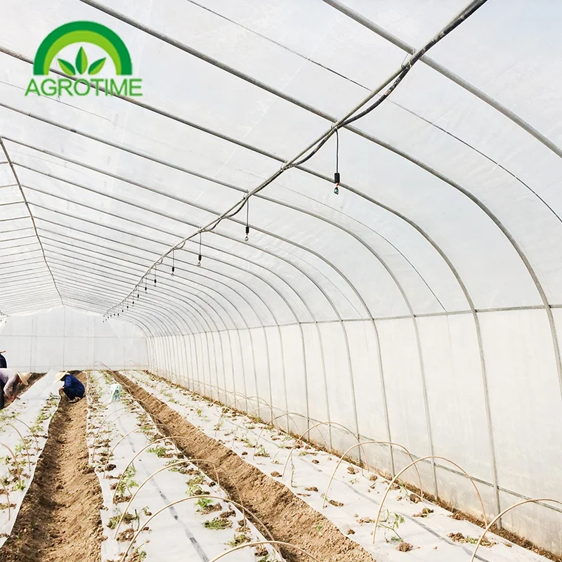 Strong packing poly tunnel hobby greenhouse commercial agricultural green house with vertical tower hydroponic growing system