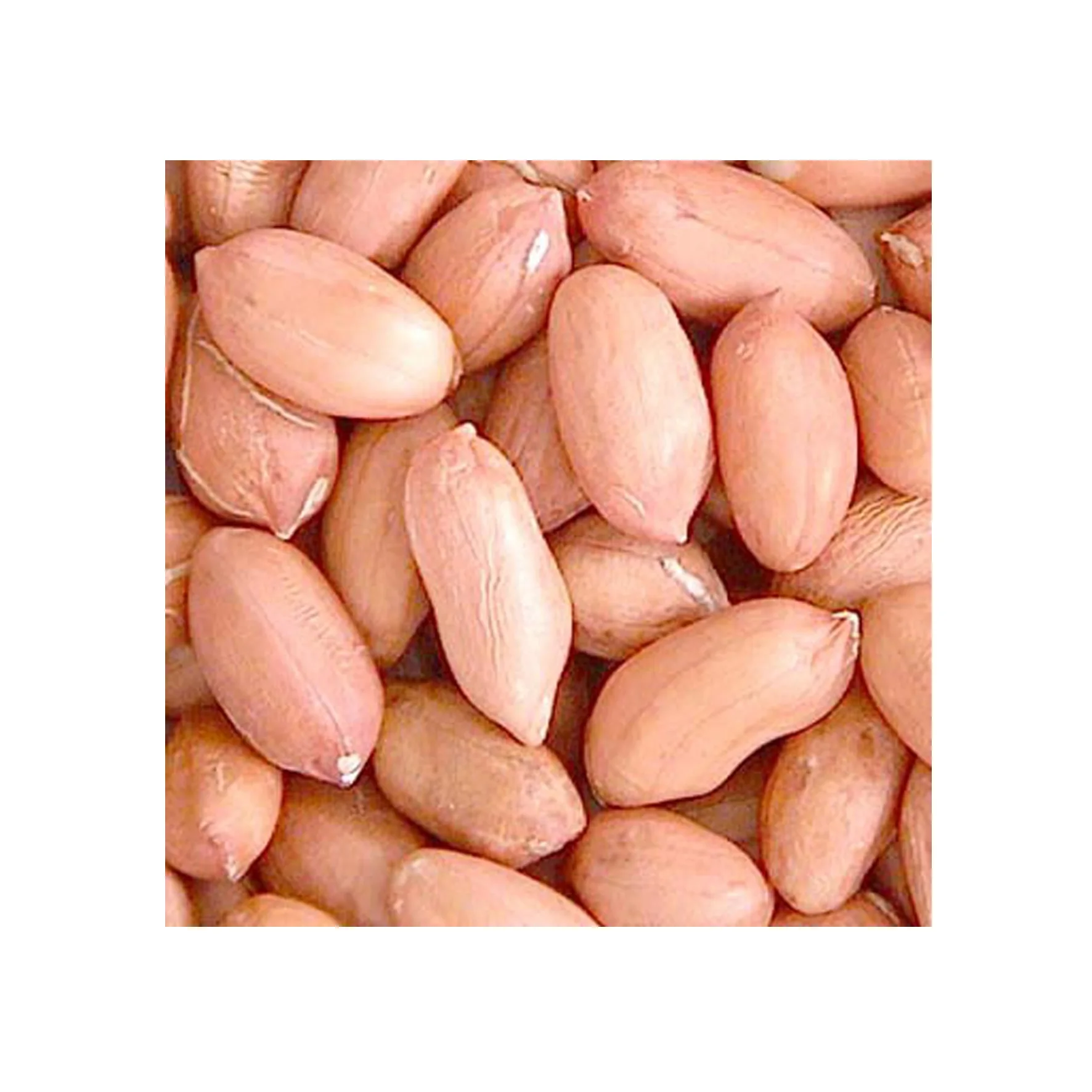 peanuts nut bags and shelled peanuts Roasted and Salted peanut groundnut kernel