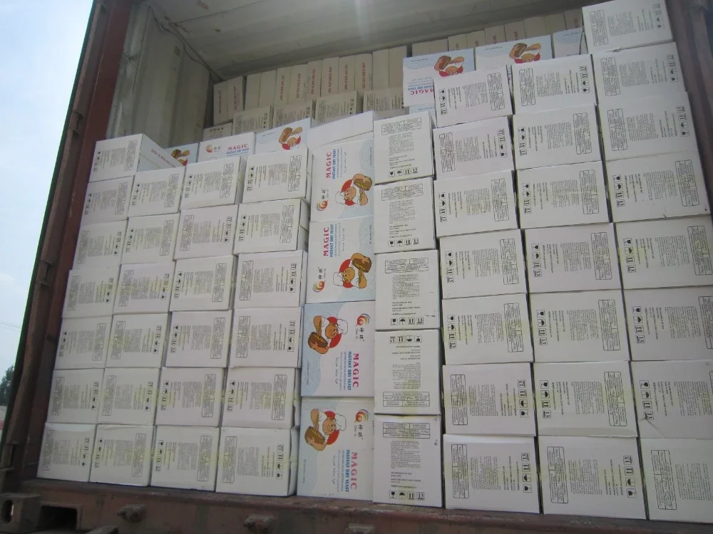 450g x20 vaccum  bags active baker yeast for instant dry yeast low sugar and high sugar