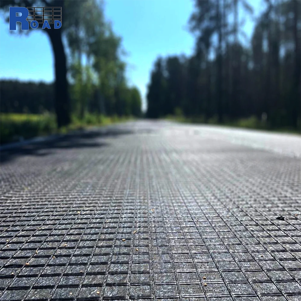 High Strength Polyester Customized Reinforcement Mining Geogrid/Road Surface Reinforcement, Ramp Reinforcement Geogrid