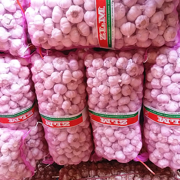 2022 New Crop Fresh Garlic Chinese Garlic /Mesh Bags for vacuum packed peeled garlic