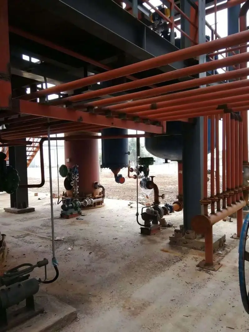 Factory direct sale almond machine oil algae press making biodiesel for