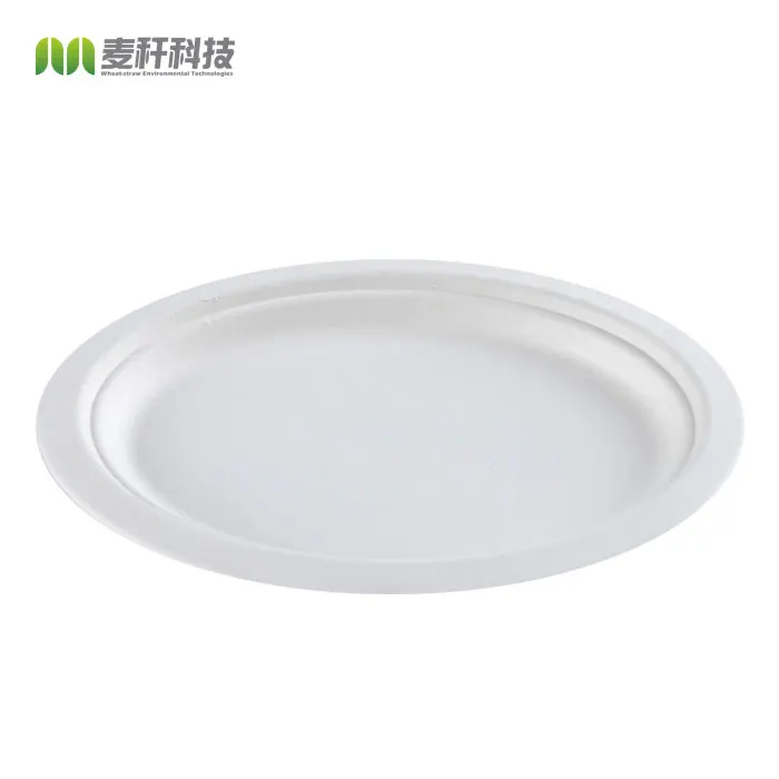 10 Inch Round Disposable Tableware Biodegradable Compostable Sugarcane Bagasse Plate 12.5 oval compostable plate for restaurant