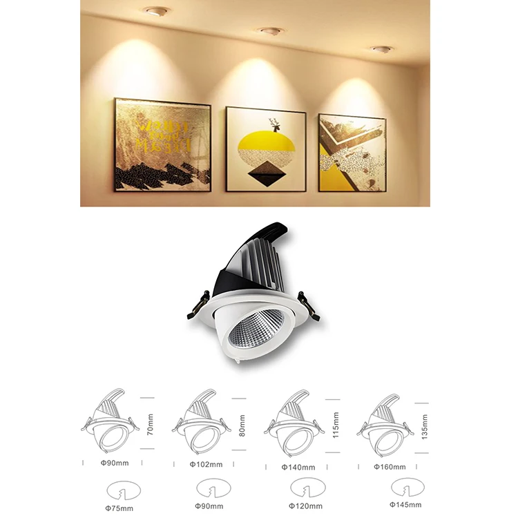 RONSE Adjustable indoor spot light dimmable ceiling light 10W 15W 24W 30W 40W 50W COB LED Wall Washer Downlight
