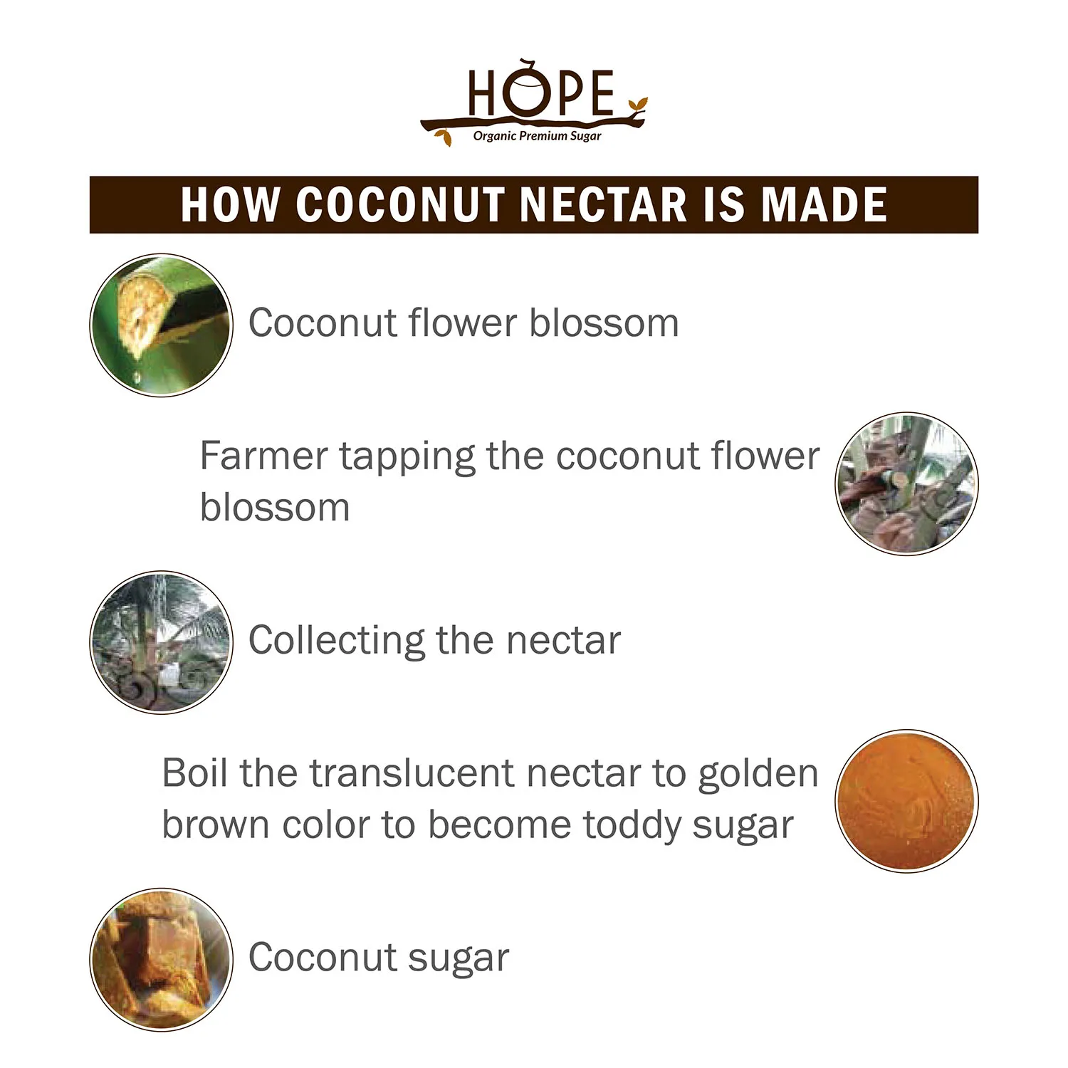 Malaysia Preferred Wholesales Supplier Halal Hope Coconut Nectar 220g Free from Preservatives & Gluten 100% Natural Health Sugar