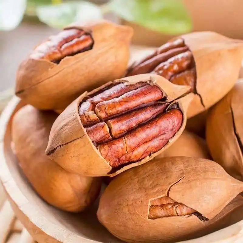 100% качественный орех пекан, китайская фабрика, оптом, орех пекан