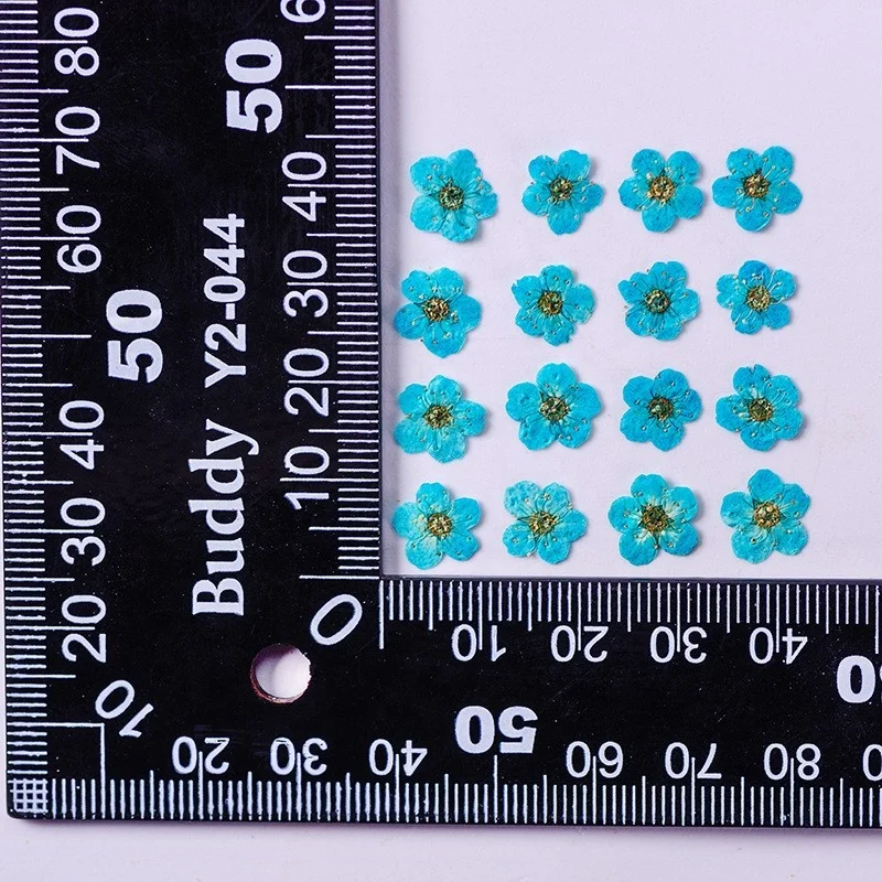 wholesale DIY material dry flower pressed Sorbaria sorbifoli flowers for resin Bookmark Jewelry and mobile phone case decoration