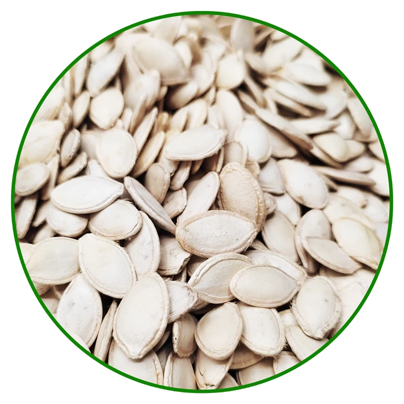 Wholesale Price Price Quality Shine Skin Pumpkin Seeds For Sale China Manufacture Pumpkin Seeds Edible