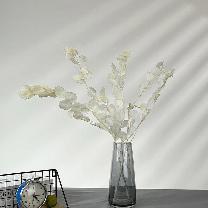 Dried Preserved Eucalyptus Stems Natural Silver Dollar Leaves Real Fresh Eucalyptus Plant Branches wreath home wedding decor