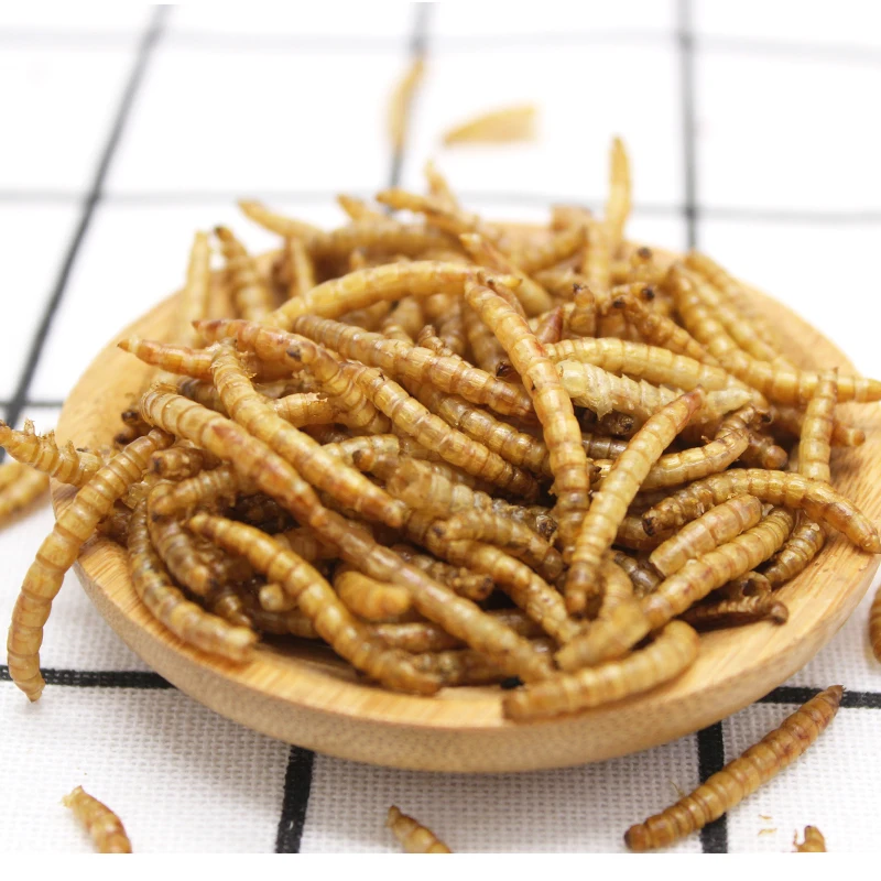 Pet Food Raw Material Bird Food Dried Mealworms in Bulk for Fish Bird Hamster