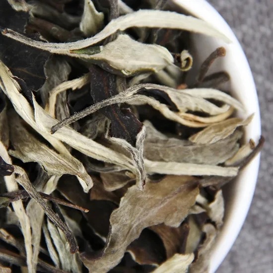 Yunnan Puerh лунный белый чай Китайский Юньнань листья ранней весной Лунный свет листовой