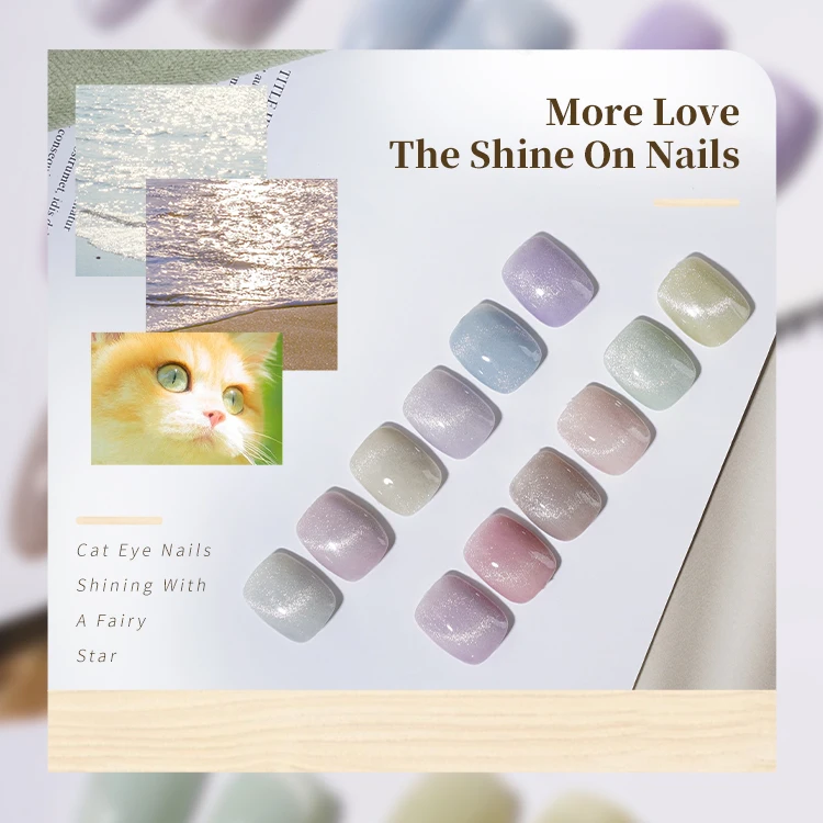 RS Nail UV Gel Polish Nail Varnish High Quality Japonic Style Cat Eye Gel