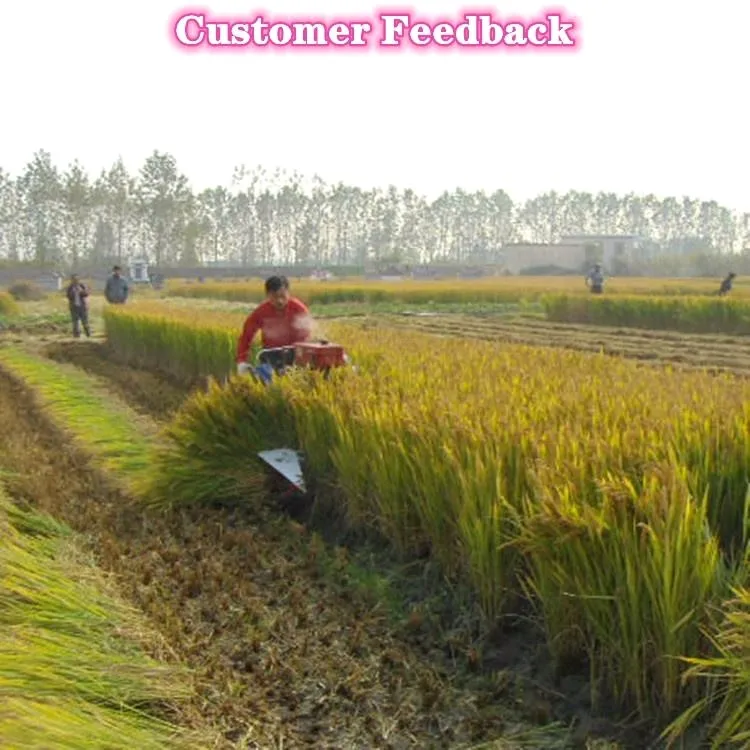 High - Efficiency Mini Corn Harvester with Advanced Technology and Exceptional Performance for Sale.