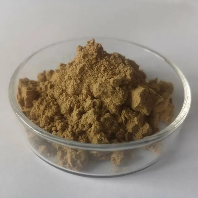 Wholesale High Quality Natural Organic Clean & Pure Senna Leaves Extract Powder