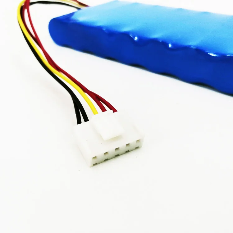 24 Volt Lithium Ion Battery Pack 12 Volt 2000 amp 100 amp hour Lithium Battery