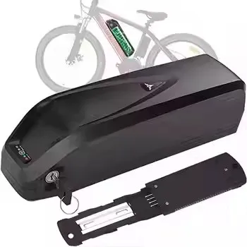 Factory hot quality Hailong electric bicycle battery 48V 20Ah high capacity more than 800 times of service life