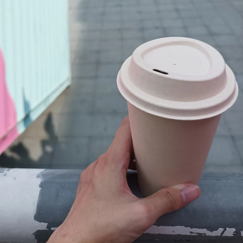 Free Sample Sugarcane Bagass  Pulp Disposable Biodegradable Coffee Cup Lid Custom Manufacturers