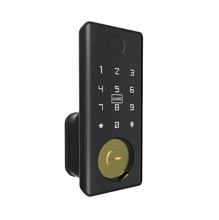 JIXIN Smart Deadbolt Lock Smart Lock Combo Fingerprint Smart Lock